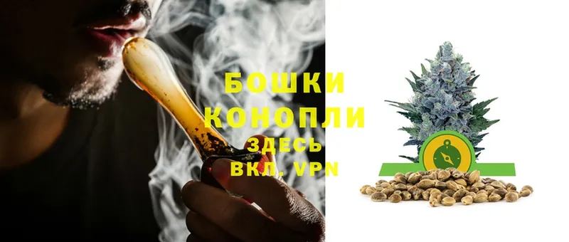 МЕГА вход  Фрязино  Каннабис SATIVA & INDICA  купить  